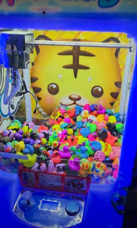 Mini Duck Crane